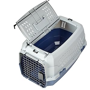 Portable handle
